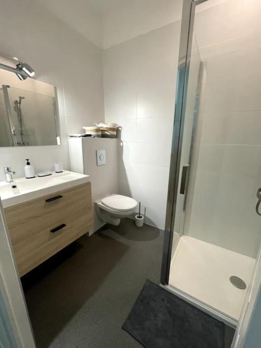 Superbe Appartement Cosy Avec Jardin Nîmes Eksteriør billede